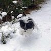 Thumbnail of related posts 130