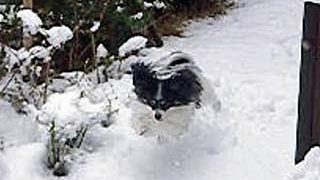 Thumbnail of post image 041