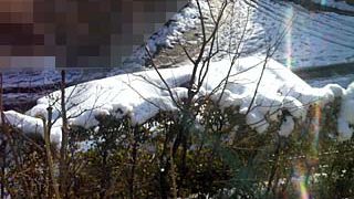 Thumbnail of post image 003