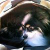 Thumbnail of related posts 154