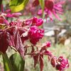 Thumbnail of related posts 087
