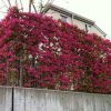 Thumbnail of related posts 034