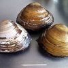 Thumbnail of related posts 051