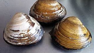 Thumbnail of post image 011