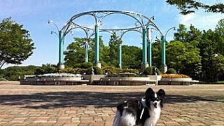 Thumbnail of post image 167