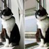 Thumbnail of related posts 083