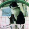 Thumbnail of related posts 080