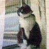 Thumbnail of related posts 132