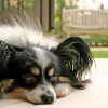 Thumbnail of related posts 120