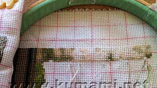 Thumbnail of post image 162