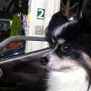 Thumbnail of related posts 033