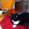 Thumbnail of related posts 176