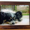 Thumbnail of related posts 173