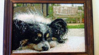 Thumbnail of post image 182