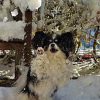 Thumbnail of related posts 006