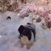 Thumbnail of related posts 050