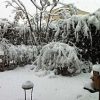 Thumbnail of related posts 122
