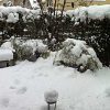 Thumbnail of related posts 125