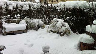 Thumbnail of post image 087