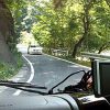 Thumbnail of related posts 164