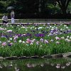 Thumbnail of related posts 094