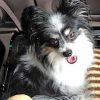 Thumbnail of related posts 162