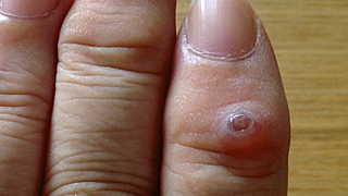 Thumbnail of post image 023