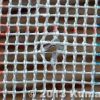 Thumbnail of related posts 178