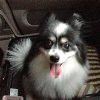 Thumbnail of related posts 192