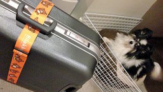 Thumbnail of post image 097