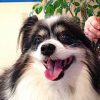 Thumbnail of related posts 167