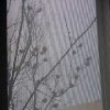 Thumbnail of related posts 115