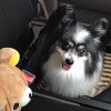 Thumbnail of related posts 192