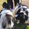 Thumbnail of related posts 012