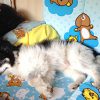Thumbnail of related posts 033