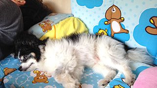 Thumbnail of post image 062