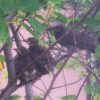 Thumbnail of related posts 154