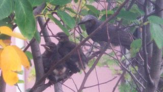 Thumbnail of post image 142