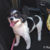 Thumbnail of related posts 092