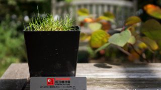 Thumbnail of post image 177