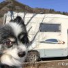 Thumbnail of related posts 018