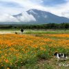 Thumbnail of related posts 056